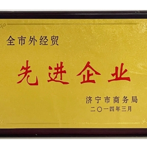 全市外經(jīng)貿(mào)先進(jìn)企業(yè)